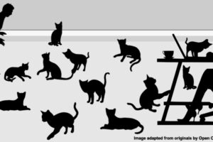 blog post feature image for Writing a Book only FEELS like herding cats