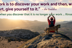 A man is seated at the top of a mountain holding his arms such that his hands are raised above his head. Next to the man is a dog. Text over the image contains a quote from Buddha that reads "Your work is to discover your work and then, with all your heart, give yourself to it." This is followed by a response quote from Tom Collins that reads, "And then, when you discover that it is no longer your work ... Rinse. Repeat." This image is attached to a post on how to apply Buddha's wisdom in the 21st century.