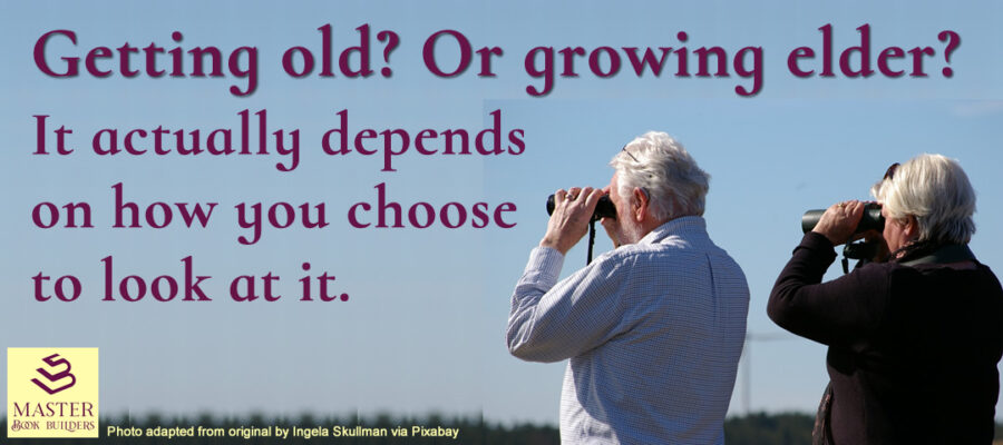 image of elder couple bird watching as feature image for blog post entitled, 'Getting Old or Growing Elder?' by Tom Collins